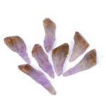 Super Seven Seedling Points